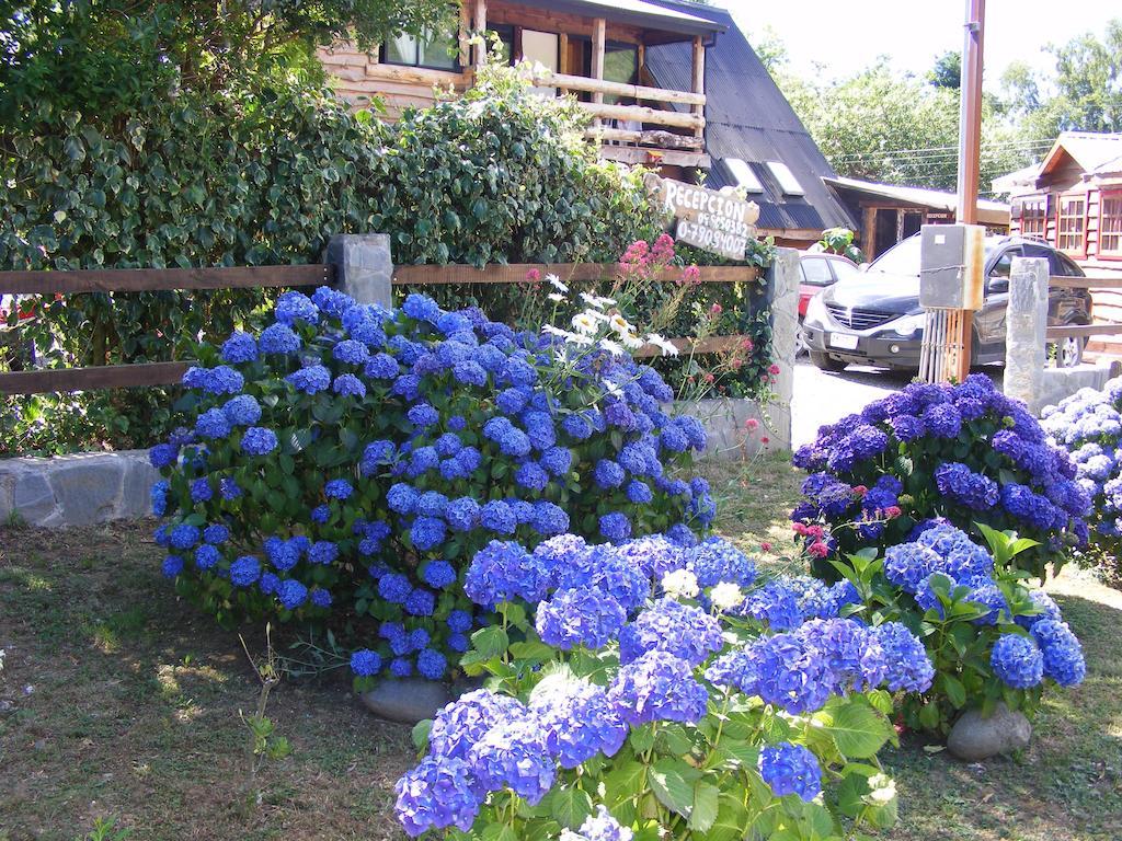 Cabanas Las Hortensias Ξενοδοχείο Niebla Εξωτερικό φωτογραφία