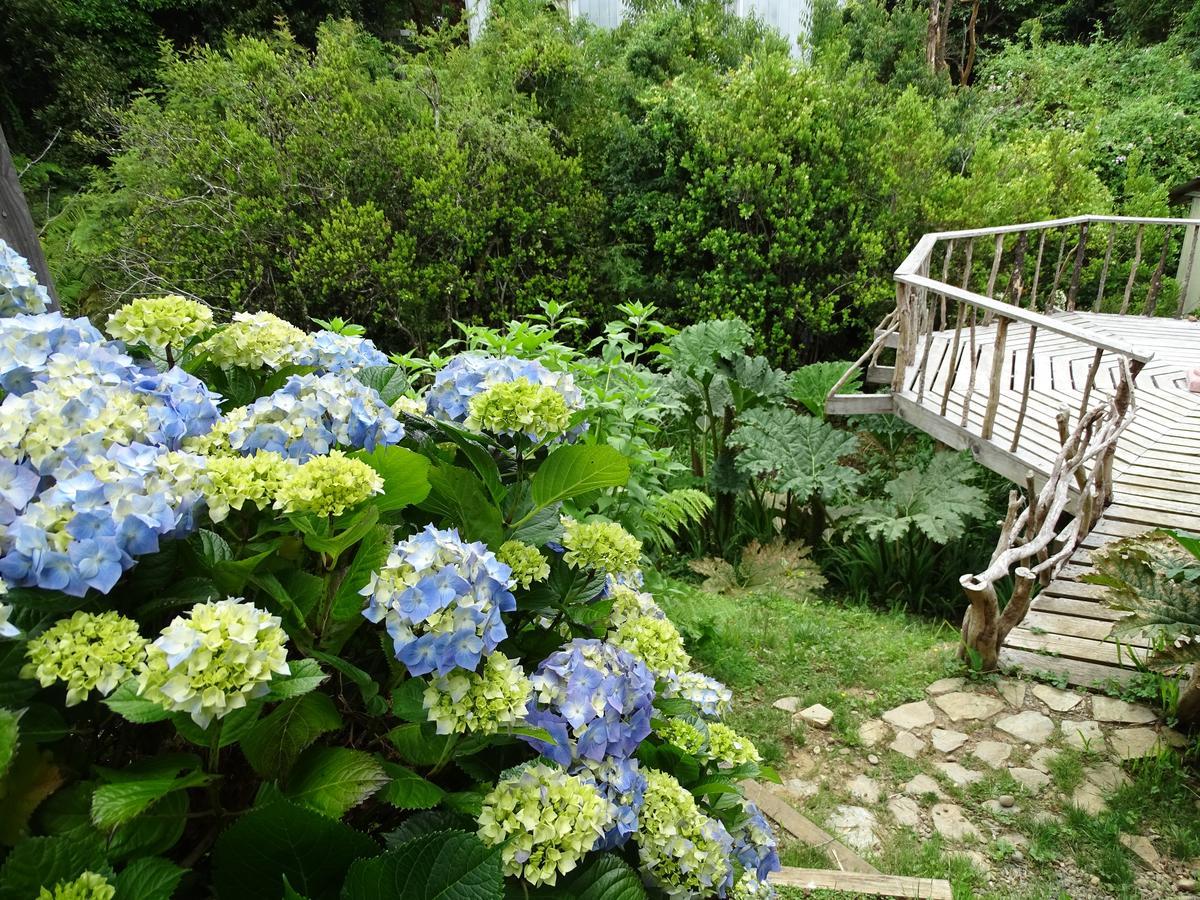 Cabanas Las Hortensias Ξενοδοχείο Niebla Εξωτερικό φωτογραφία